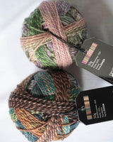 2025 Yarn Crawl Crochet Kit
