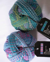 2025 Yarn Crawl Crochet Kit